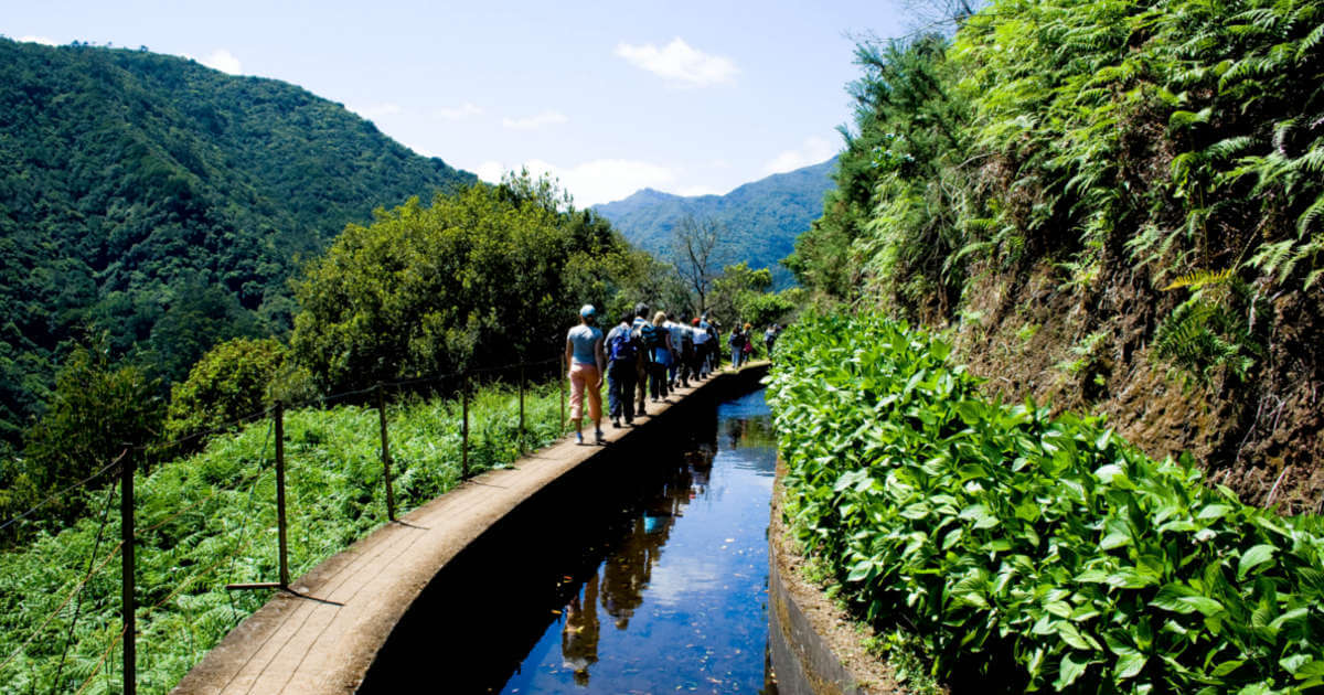 LEVADAS / WALKS | Activity around Calhau Surf