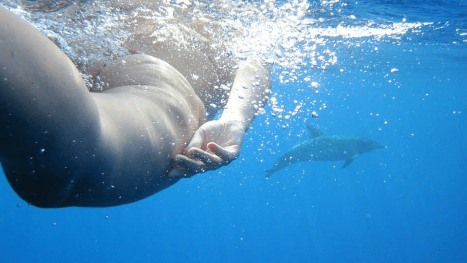 SNORKELING BOAT TRIPS | Activity around Calhau Surf School